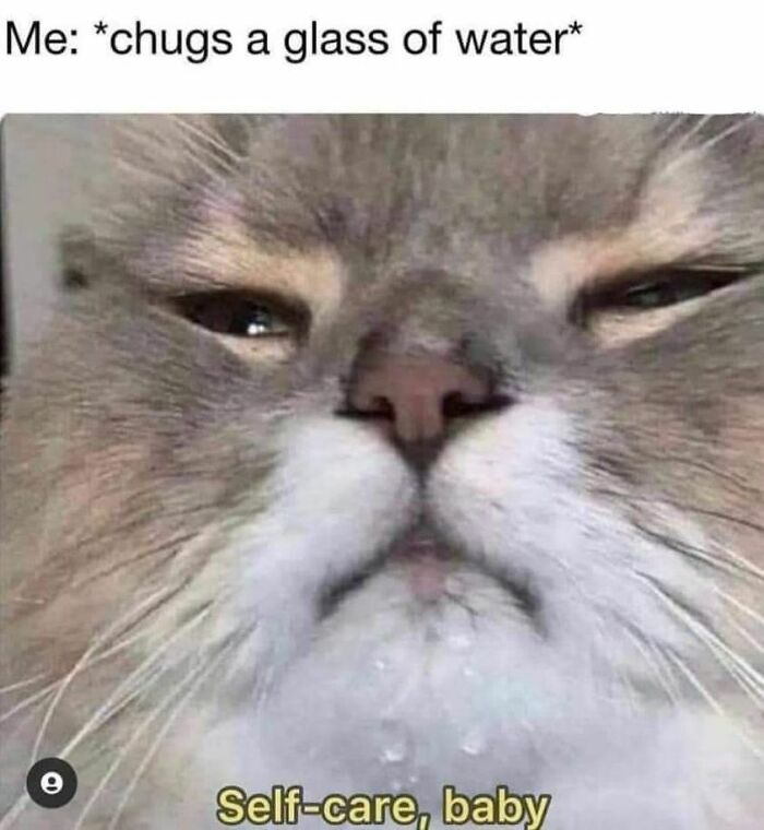 Unexplainable-Cat-Images-Memes