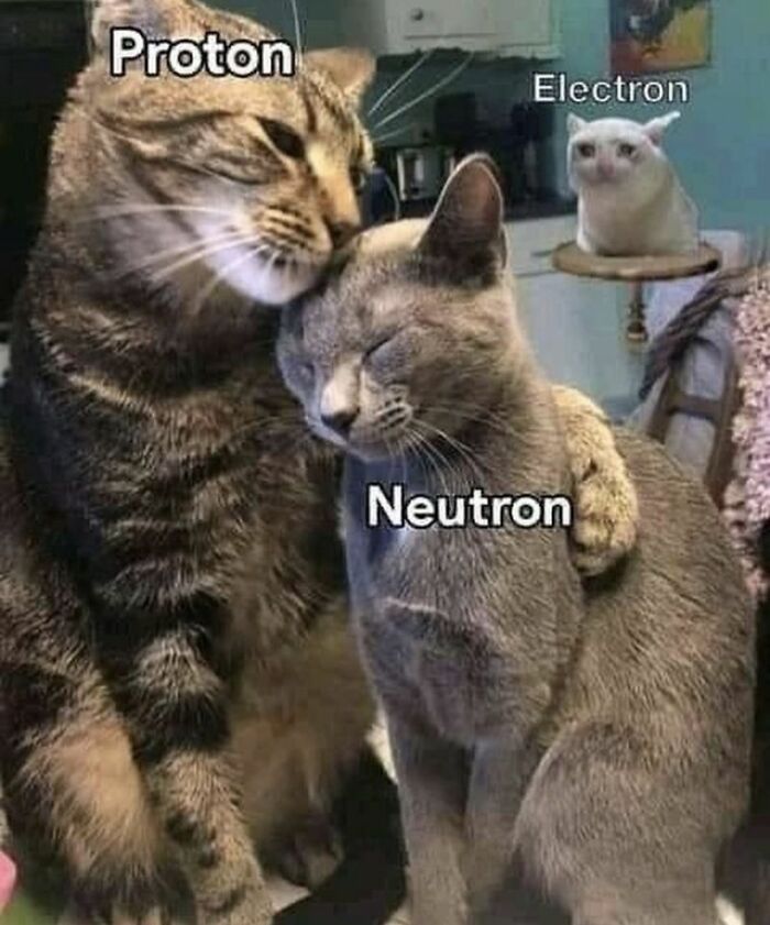 Unexplainable-Cat-Images-Memes