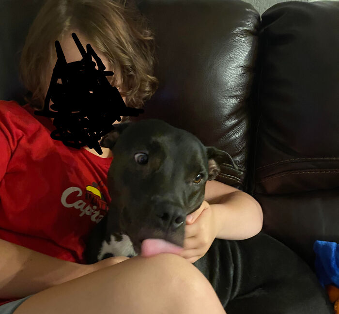 This Is Mia We Have To Put Her Down On Saturday :(