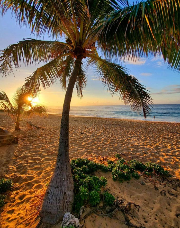 62 People Shared Their Stories Of Wasting Money And Not Regretting It