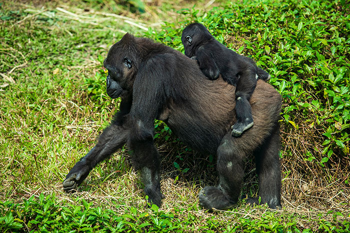 62 People Shared Their Stories Of Wasting Money And Not Regretting It