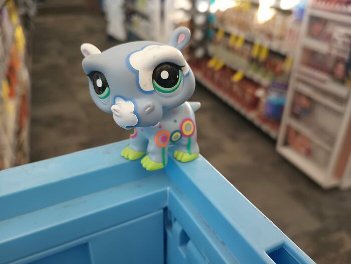 Not Exactly A Thrifted Find, But I Finally Found My House Hippo Abandoned On A Shelf At My Job