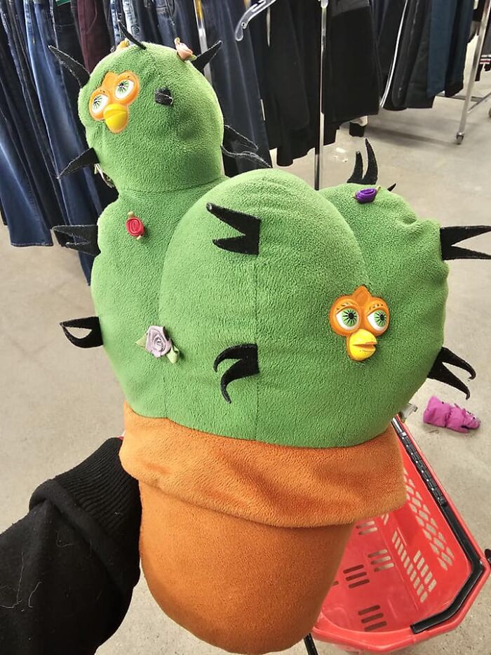 Found This At The Value Village In Winnipeg Manitoba. Lol It's A Strange Looking Furby