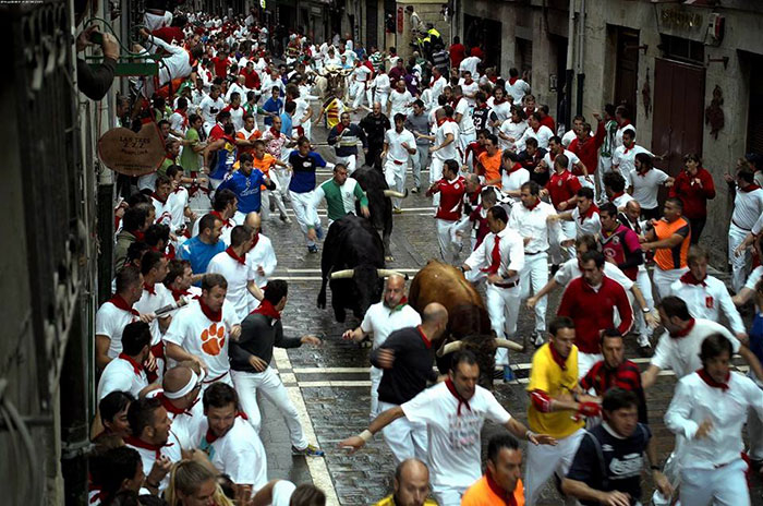 Running Of The Bulls