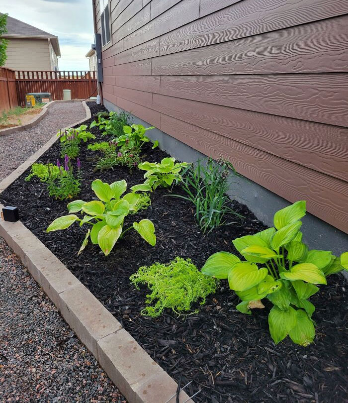 Social Anxiety Has Prevented Me From Working On My Yard For 3 Years. This Week I Finally Did It