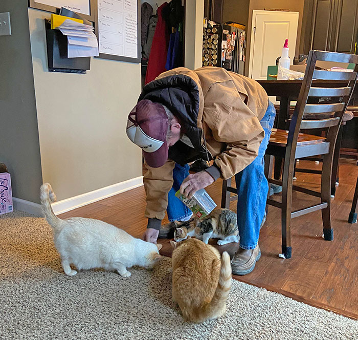 One Time My Dad Brought Treats For My Cats. Now, Whenever He Walks In My Door They Expect Treats. So He Brings Them Treats Every Time