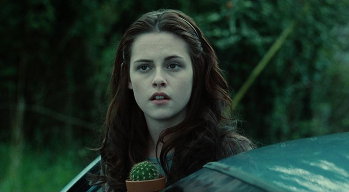 Bella Swan From "Twilight"