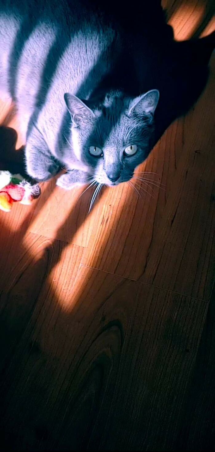 My Big Girl Baba Yaga