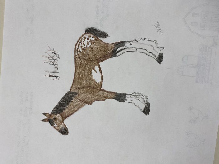 Fluffy Is My Most Recent Drawing (Colored Pencils On Homework Lol)