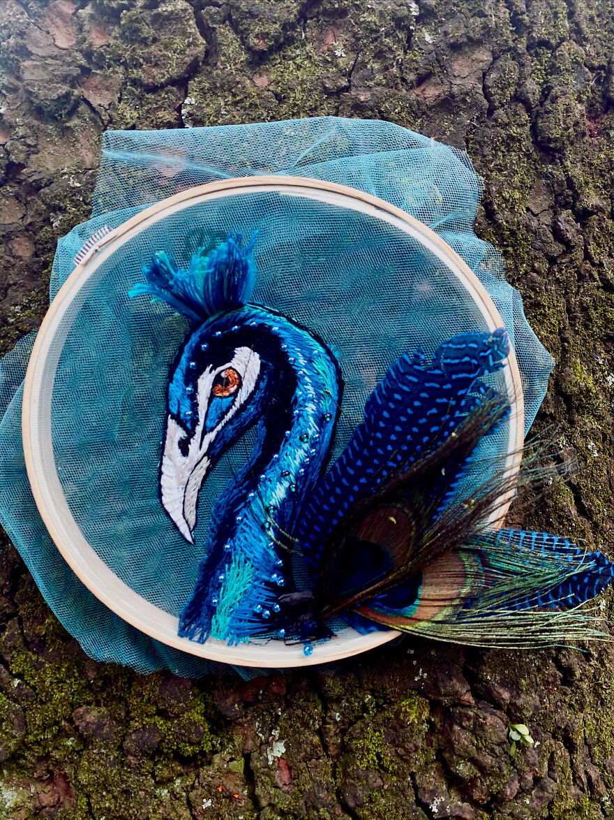 Peacock In The Woods