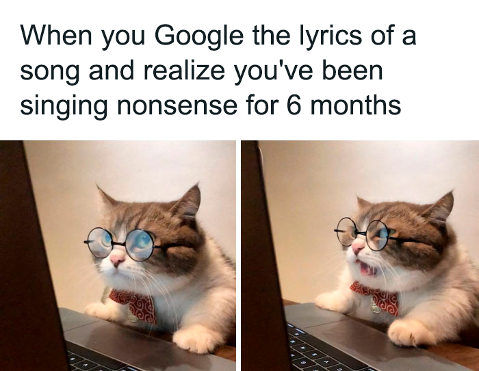 Funny animal meme of a cat wearing glasses looking shocked at a laptop screen.