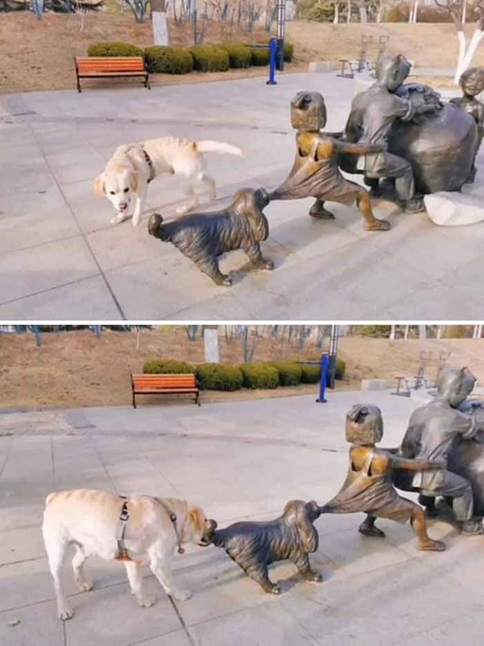 When You Don't Know What You're Doing But You Want To Help