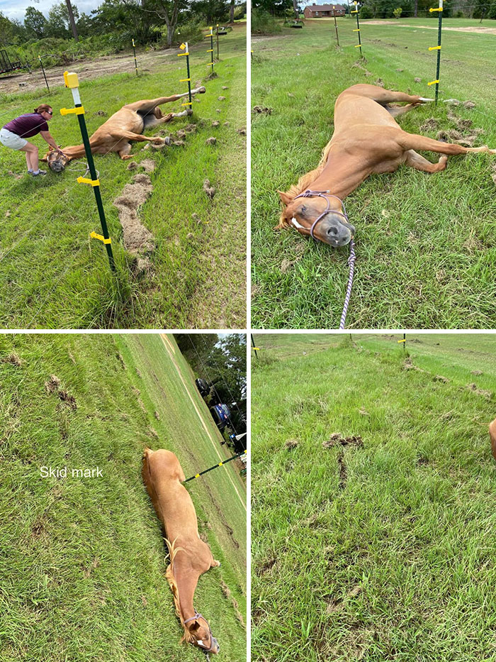 Honestly It's A Big Mood