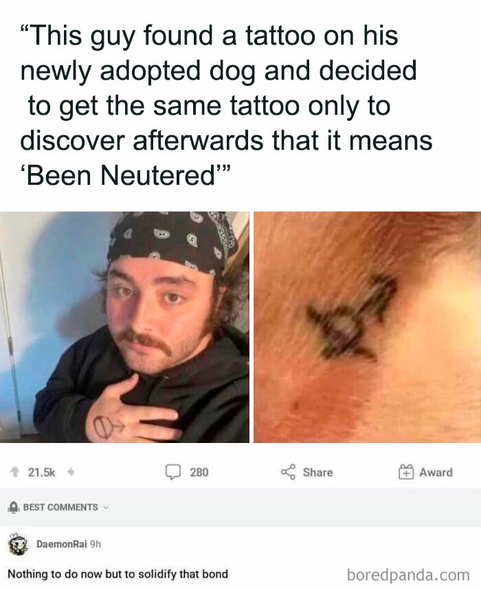 Americas-Cultural-Decline-Into-Idiocy-Posts-About-USA