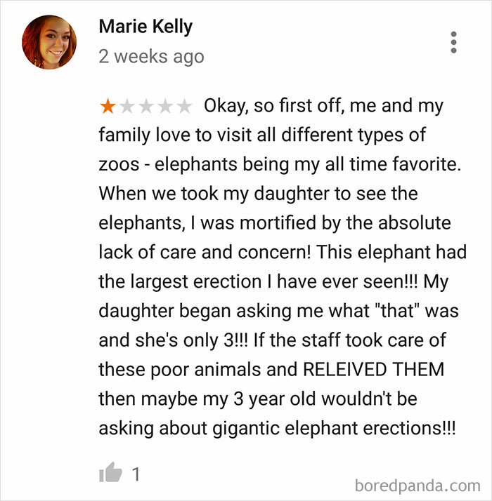 Americas-Cultural-Decline-Into-Idiocy-Posts-About-USA