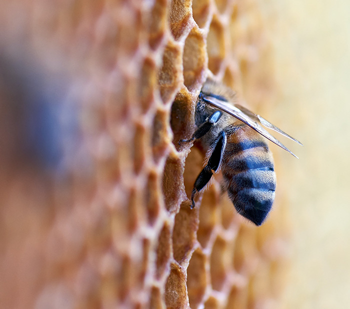 30 Pequeños detalles que hicieron sonreír a la gente