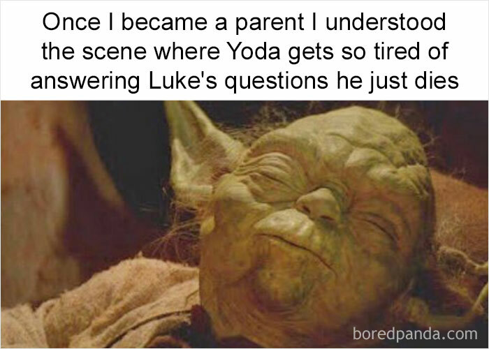 Self-Deprecating-Memes-Personally-Attacked