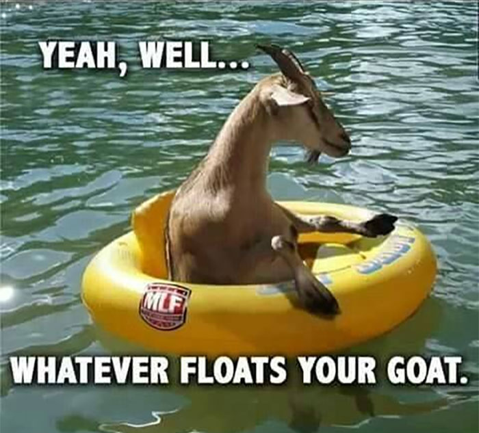 Funny-Animal-Memes-Awkwardanimals