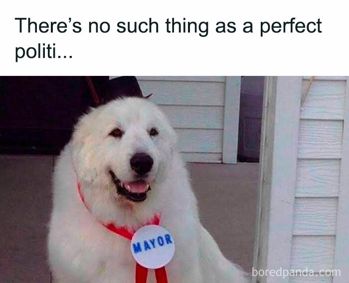 Funny-Animal-Memes-Awkwardanimals