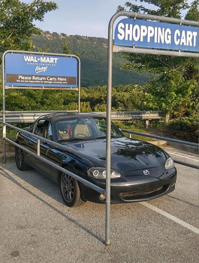 Random-Weird-Pictures-By-Things-In-Places