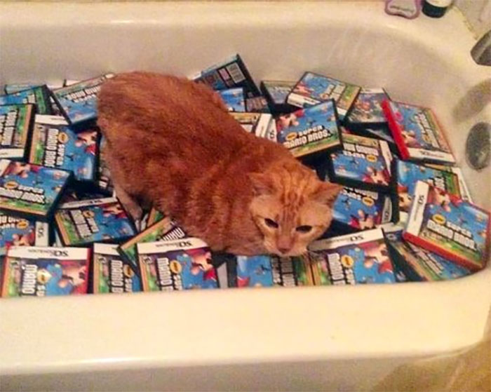 Random-Weird-Pictures-By-Things-In-Places