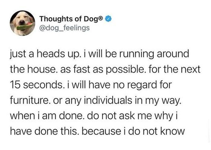 Funny-Animal-Memes-Awkwardanimals