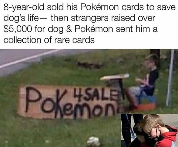 Funny-Animal-Memes-Awkwardanimals