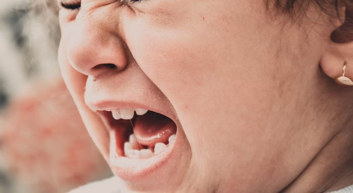 8-Year-Old Girl Finds Out The Meaning Of &ldquo;Careful What You Wish For&rdquo; When Mum Serves Her Nothing But Salami Pizza For A Week