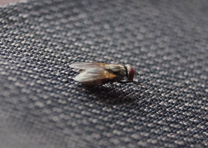 "I Raised An Idiot": 30 Parents Share Their Kids' Dumbest Moments