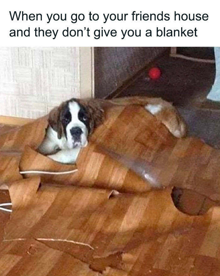 Random-Weird-Pictures-By-Things-In-Places