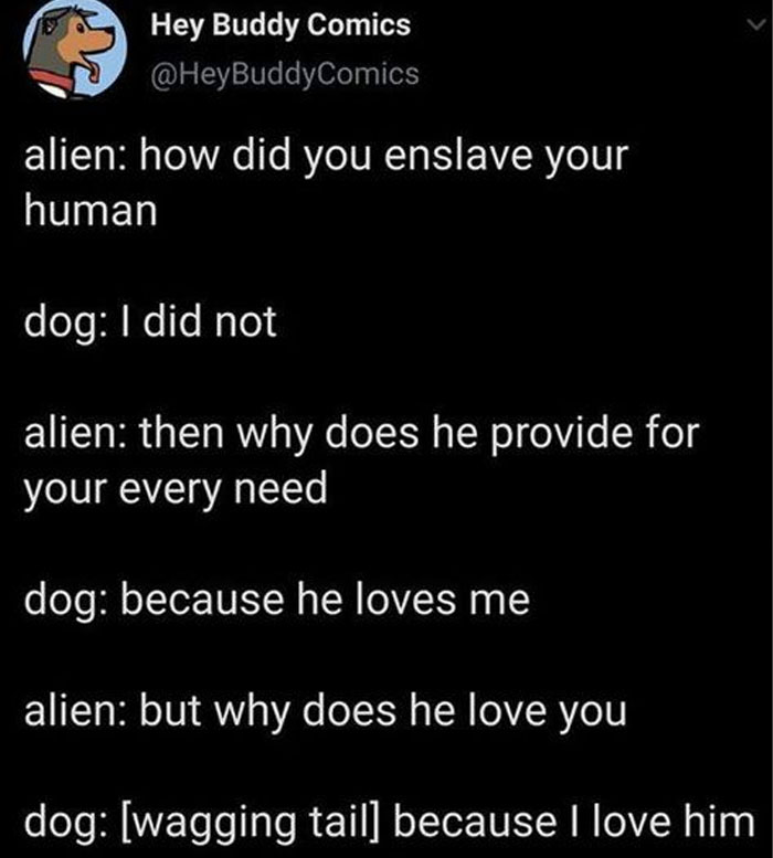 Funny-Animal-Memes-Awkwardanimals