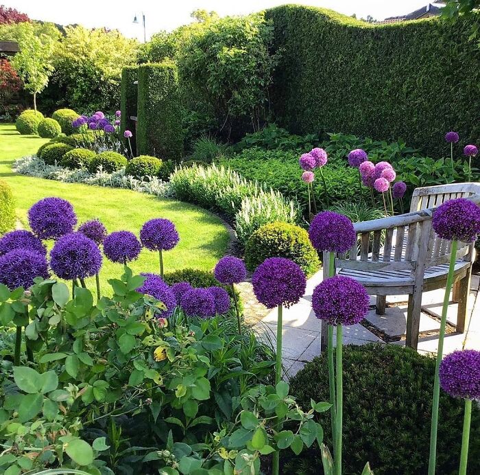 Beautiful-Landscape-Design-Pics