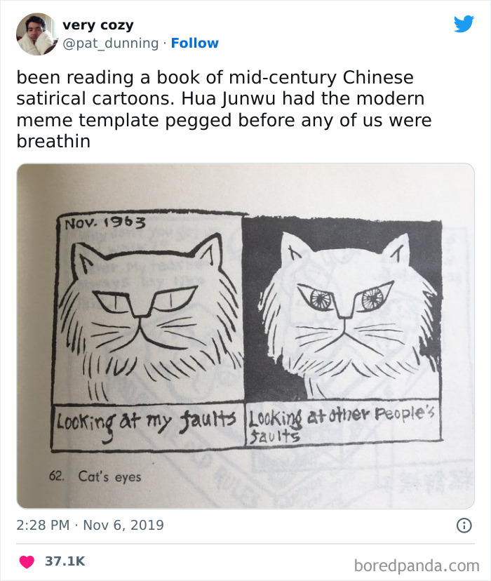 Funny animal meme: drawing of two cats with captions about self-reflection and judgment, dated November 1963.