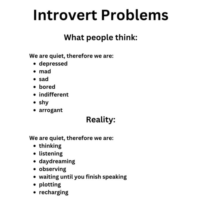 "Introvert Problems meme contrasting misconceptions with reality of introvert behavior."