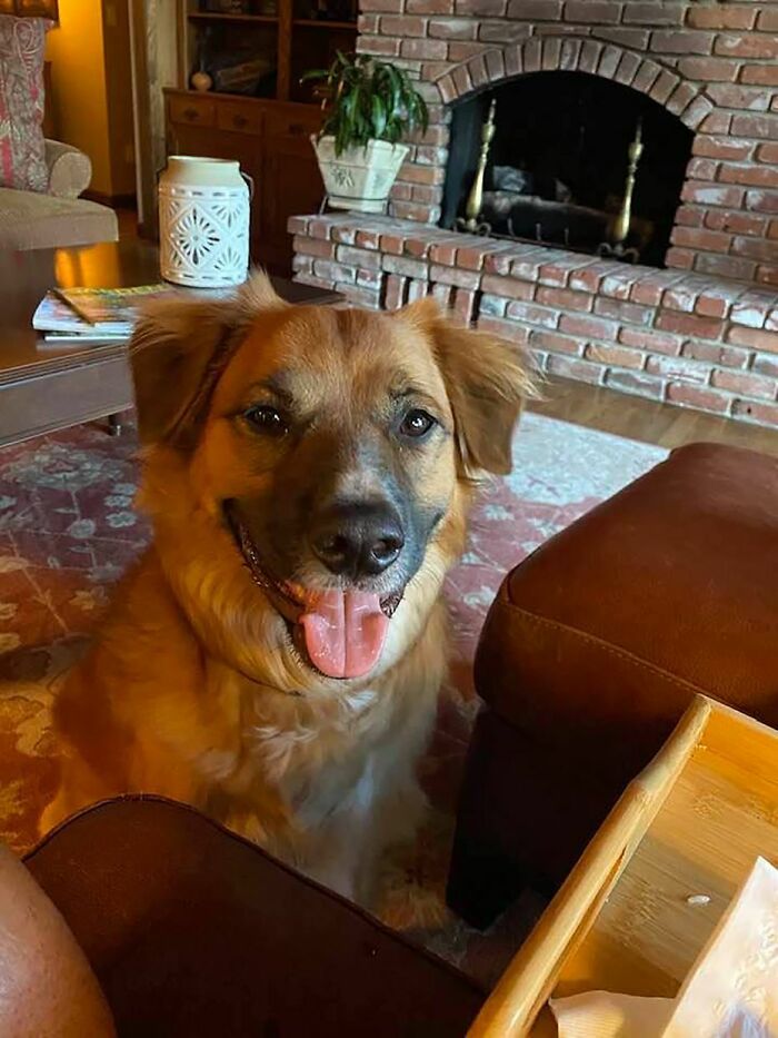 35 Random Facts Shared On This Instagram Account To Make You Question Everything