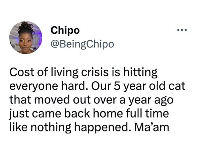 Funny-Animal-Memes-Awkwardanimals