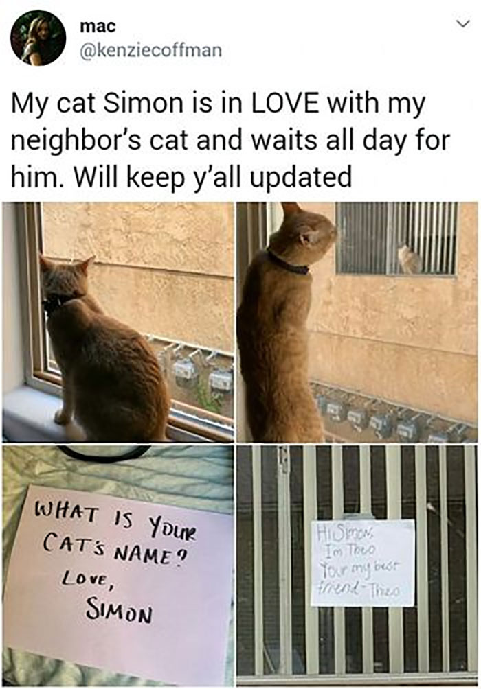 Funny-Animal-Memes-Awkwardanimals