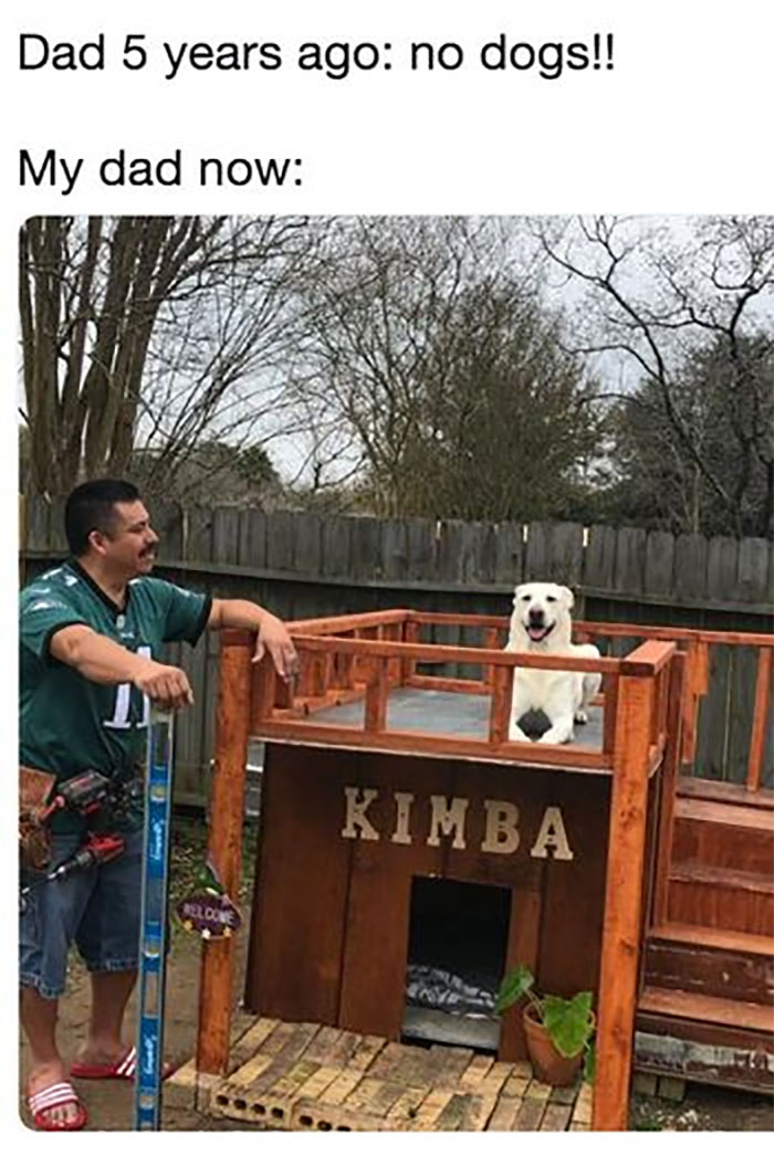 Funny-Animal-Memes-Awkwardanimals