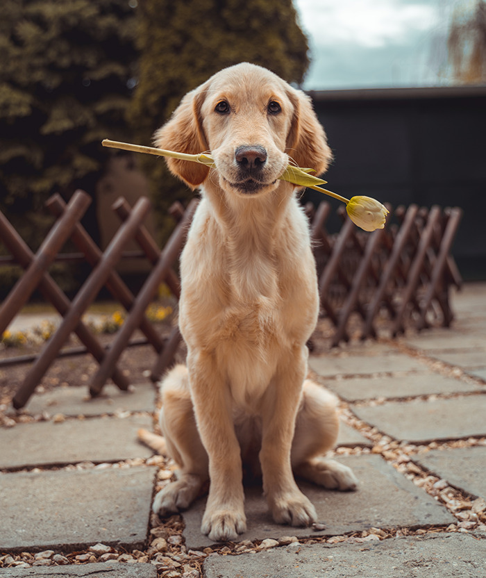 30 Pequeños detalles que hicieron sonreír a la gente
