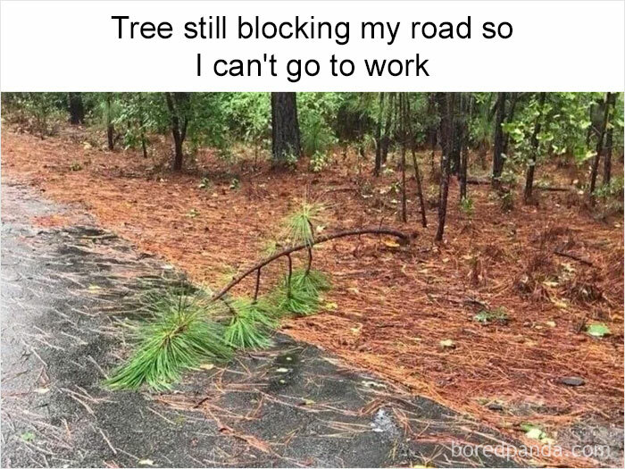 Self-Deprecating-Memes-Personally-Attacked