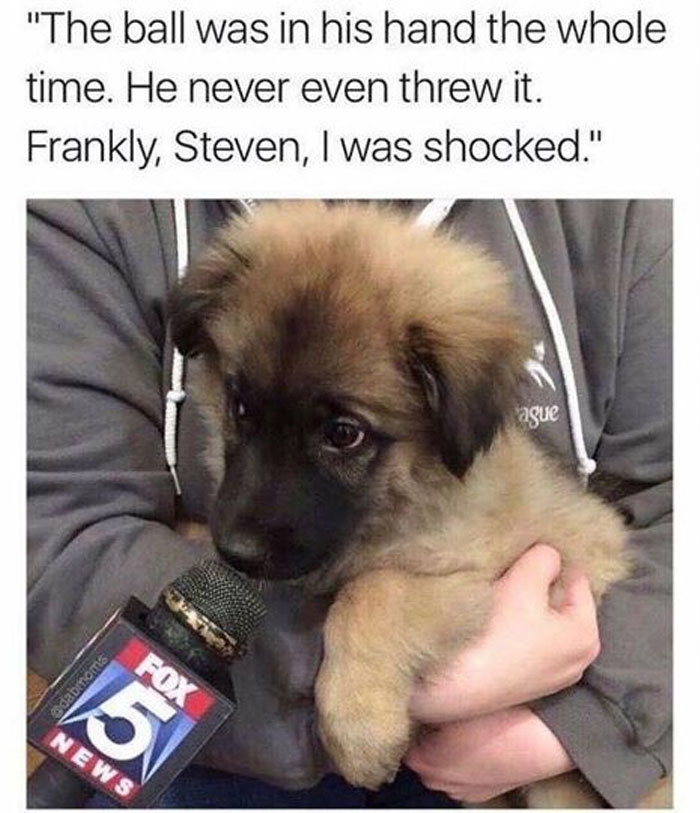 Funny-Animal-Memes-Awkwardanimals