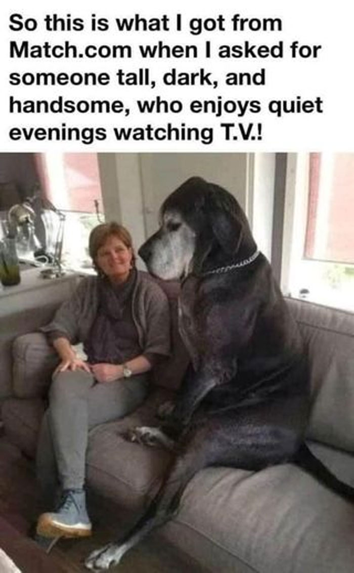 Funny-Animal-Memes-Awkwardanimals