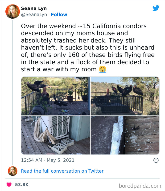 Thanks For Rescuing Us From The Brink Of Extinction And All, But