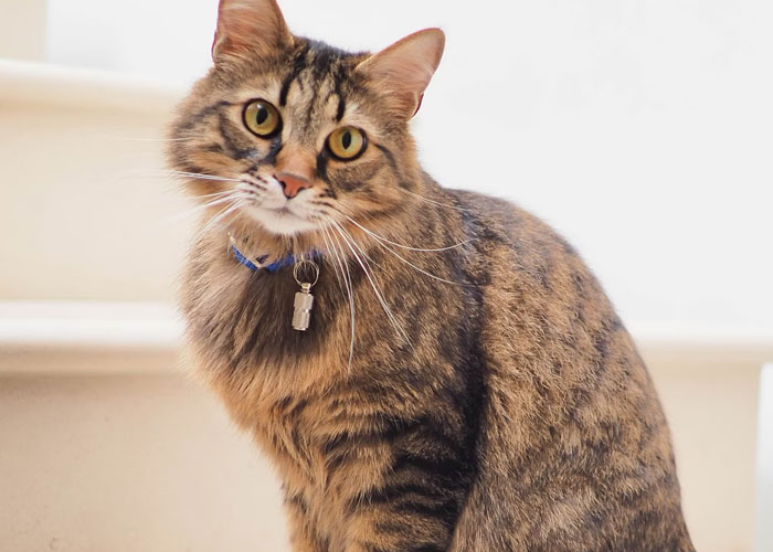 29 Hotel Workers Share Their Most Unforgettable Experiences With Guests