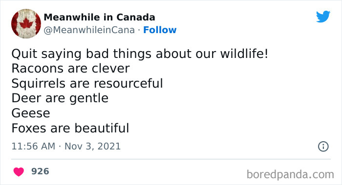 Funny-Canadian-Tweets