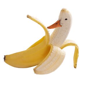 cartermcbride avatar