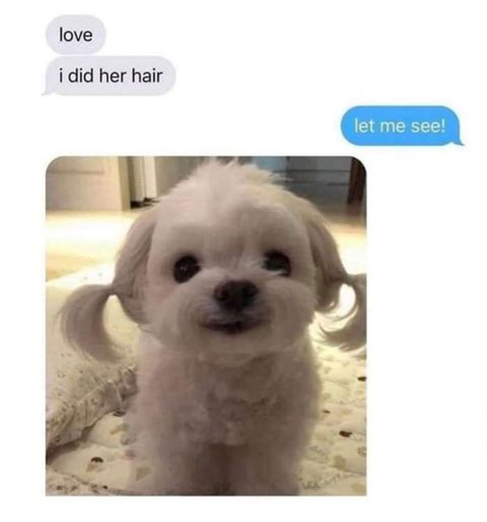 Funny-Animal-Memes-Awkwardanimals