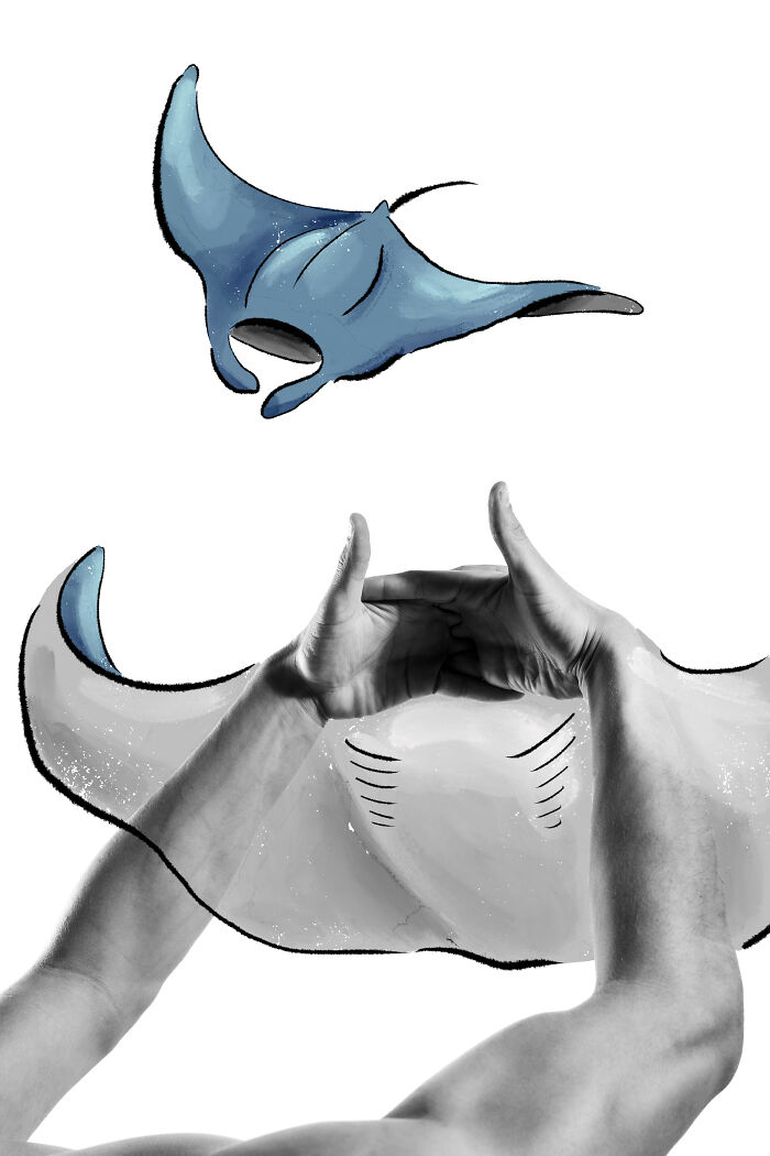 Ways Of Manta Rays