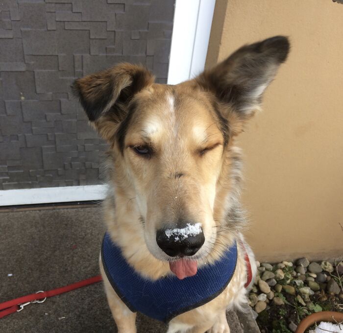 Pftpfftpfffttt, Snow...!