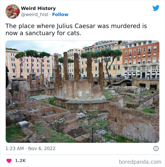 Weird-History-Pictures